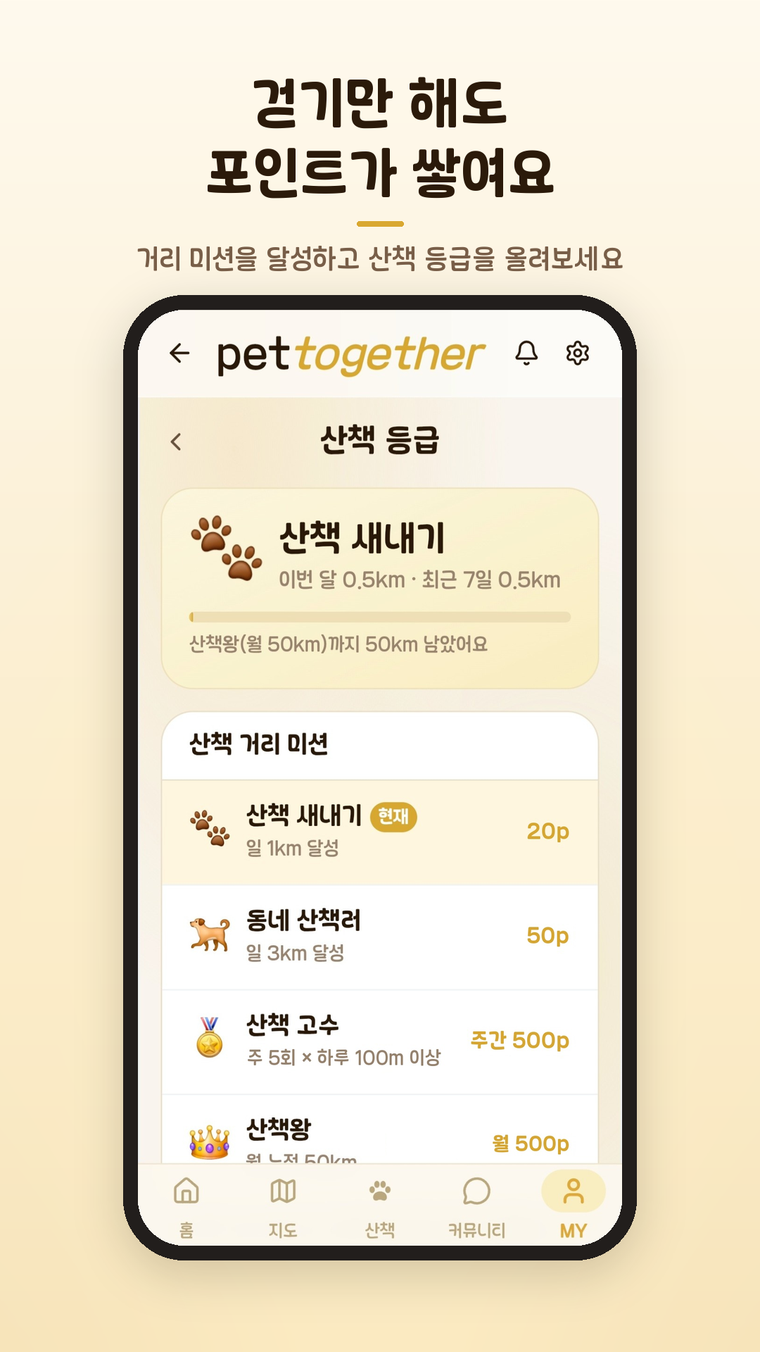 PetTogether 산책 등급